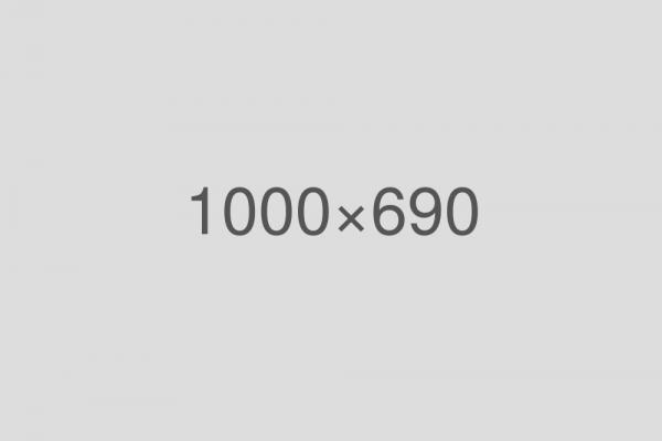 Ipsum Lorem